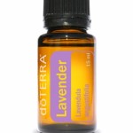 doTERRA Lavender- levandule