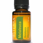 Melaleuca - čajovník