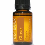 Clove - hřebíček